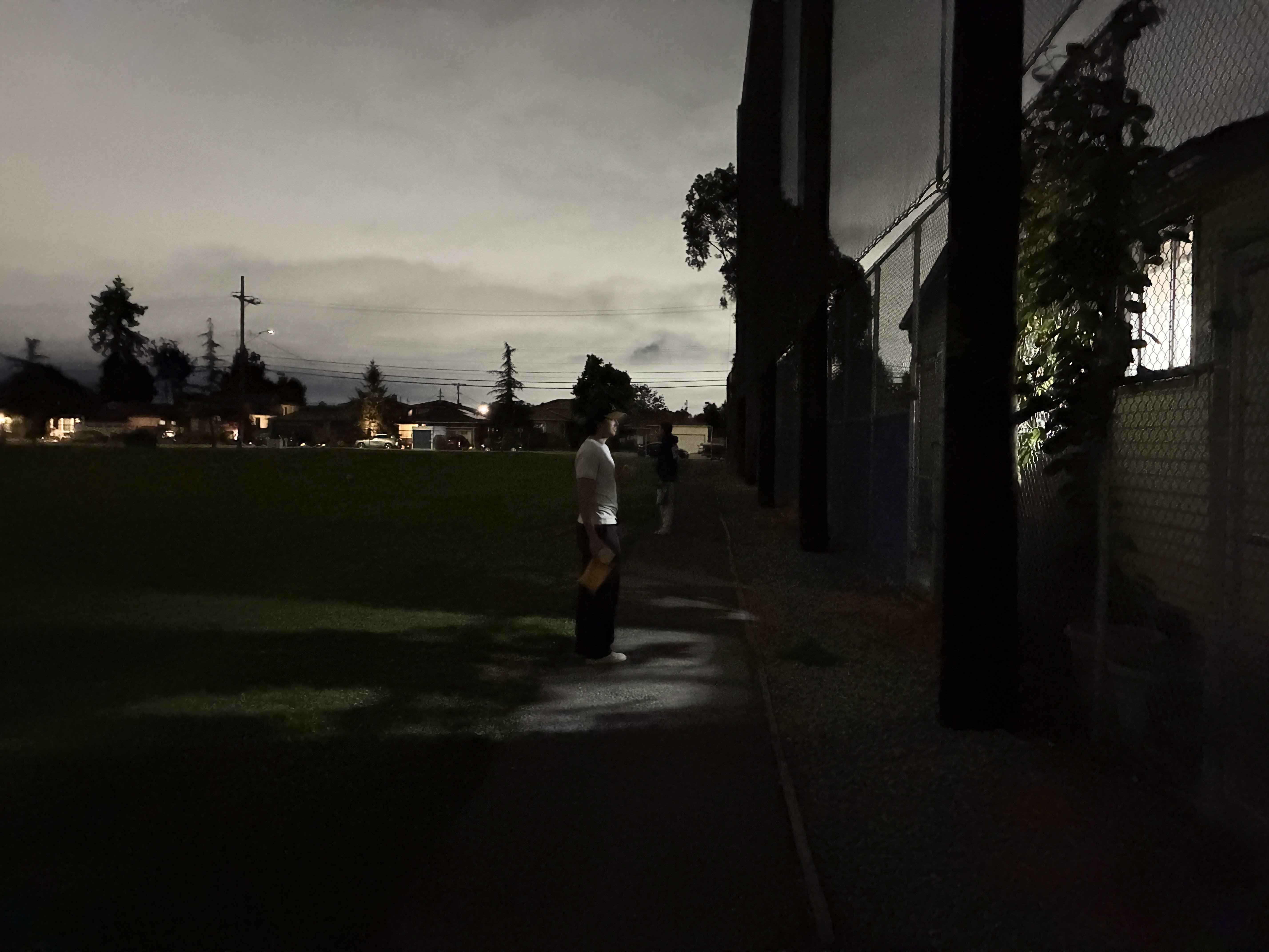 teddy at lincoln park